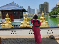 /album/fotogaleria-sri-lanka-vy-a-my/sri-lanka-maldivy-zajazd-110-jpg3/